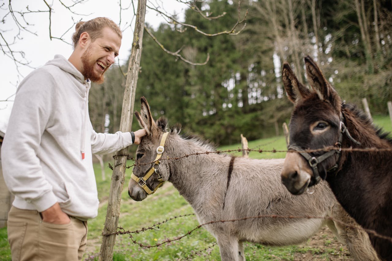 A smiling man pets a donkey through a fence on a rural farm setting.